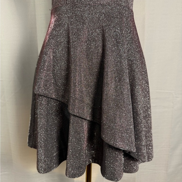 Xtraordinary Silver and Black Fit and Flare Mini Dress - Picture 3 of 12
